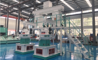 1噸的生物顆粒多少利潤？木屑顆粒機生產(chǎn)廠家分析其成本