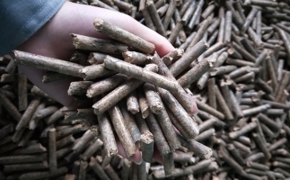 鋸末顆粒機(jī)顆粒，一種快速增長的能源載體