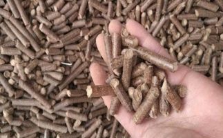 鋸末顆粒機(jī)生物質(zhì)燃料與燃煤對(duì)比情況如何？