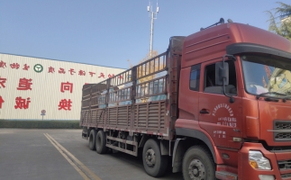 忙碌的五月，忙碌的發(fā)貨，金格瑞顆粒機生產(chǎn)線發(fā)往全國各地