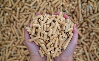 夏季儲存鋸末顆粒機(jī)生物質(zhì)顆粒的方法，要認(rèn)真看喲