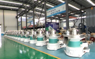 新手開顆粒廠，該選小型還是大型木屑顆粒機？